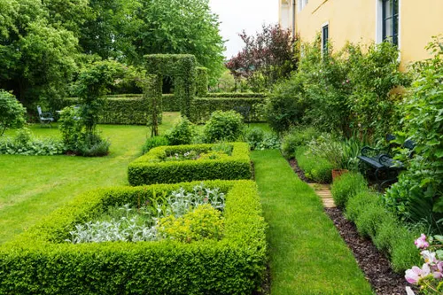 Fresh cut hedges and garden